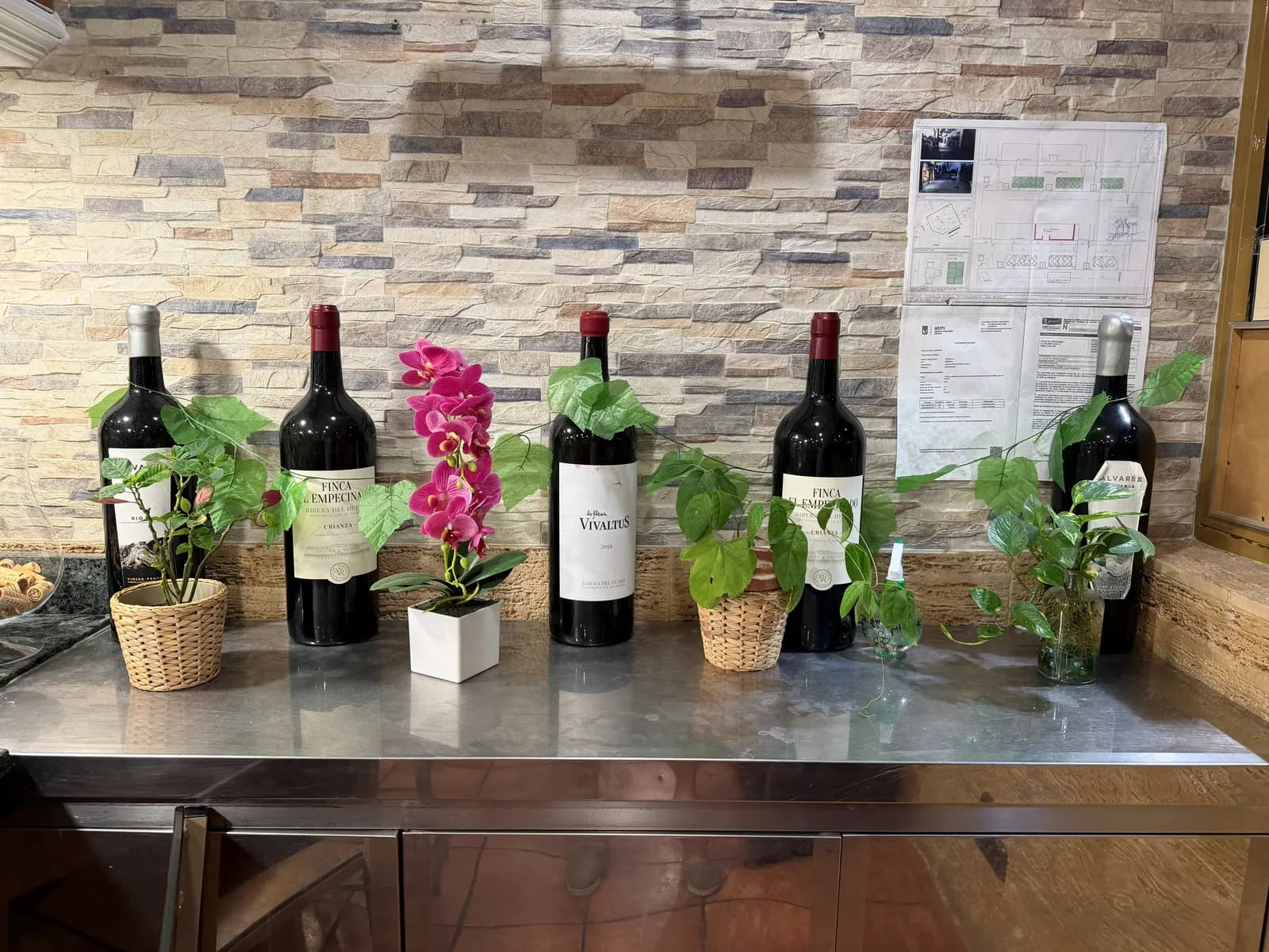 Vinos